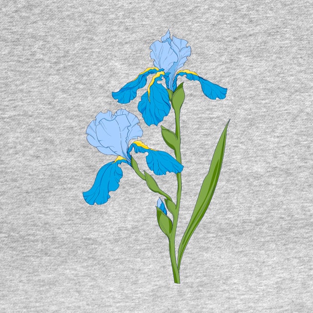 blue iris. branch with blue iris flower by  ESHA-Studio